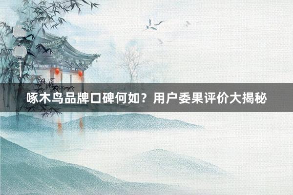 啄木鸟品牌口碑何如？用户委果评价大揭秘